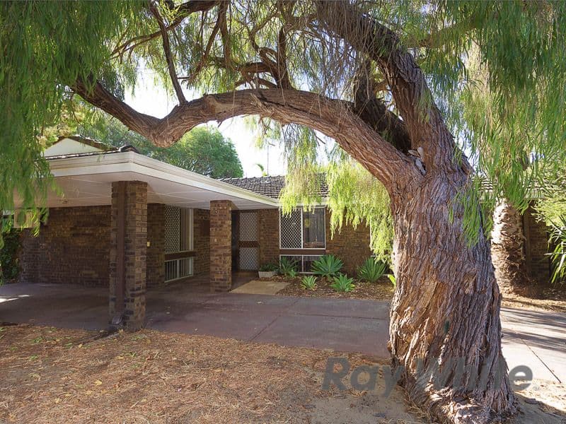 21 Bersica Court, KARDINYA WA 6163, Kardinya - Image 1