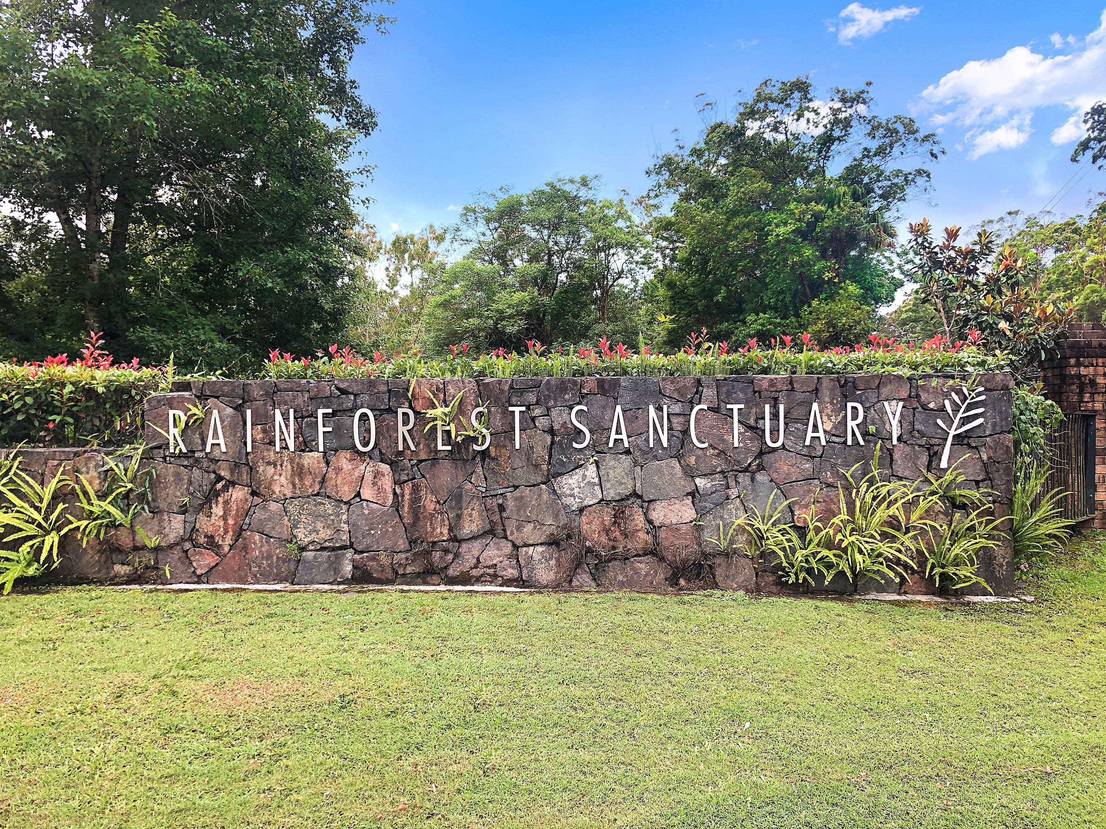45 Rainforest Sanctuary Drive, Buderim QLD 4556, Buderim - Thumbnail 5