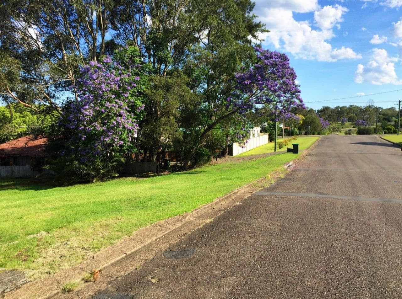 Lot 2 11 Killawarra Street, Wingham NSW 2429, Wingham - Thumbnail 5