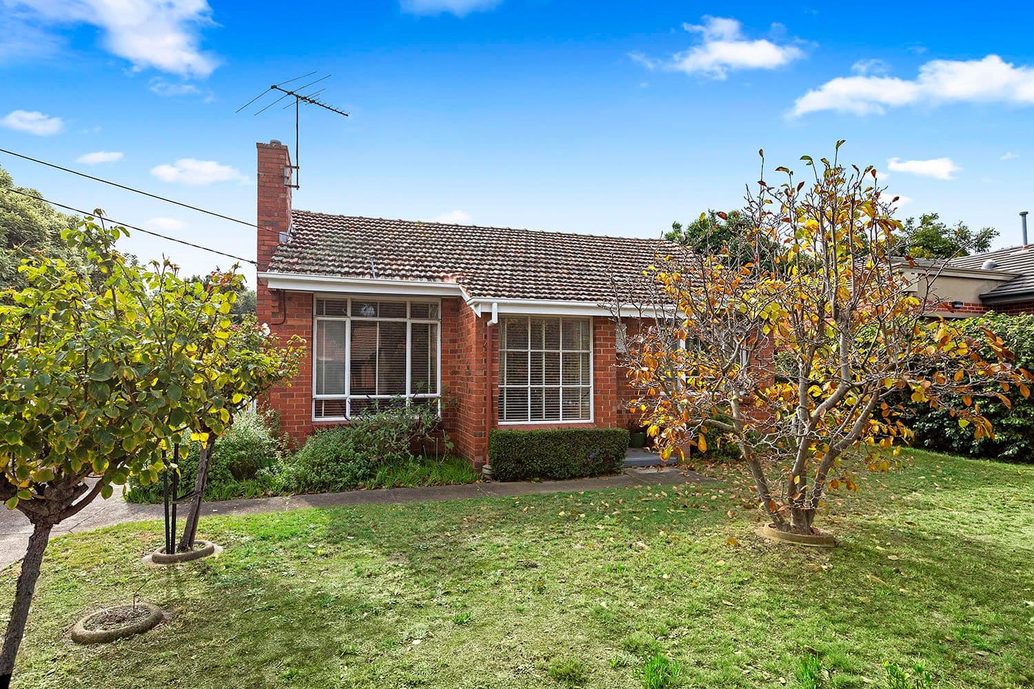 49 Apex Avenue, Hampton East VIC 3188, Hampton East - Thumbnail 2