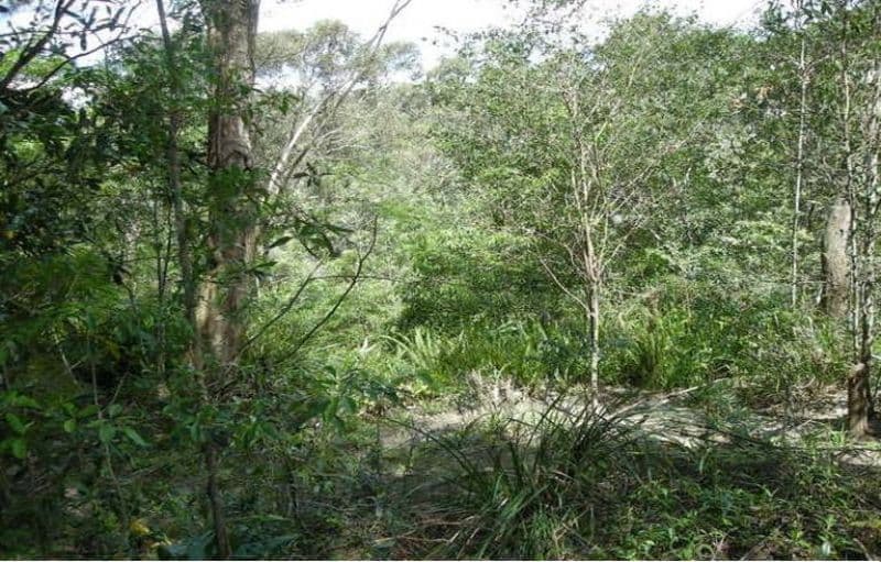 3 Bell Street, GORDON NSW 2072, Gordon - Thumbnail 2