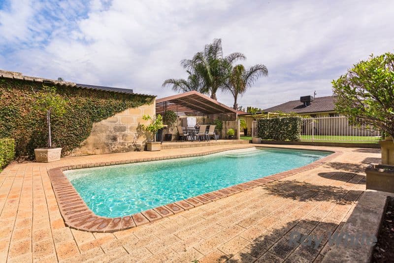 29 Amberley Way, Hamilton Hill WA 6163, Hamilton Hill - Thumbnail 4