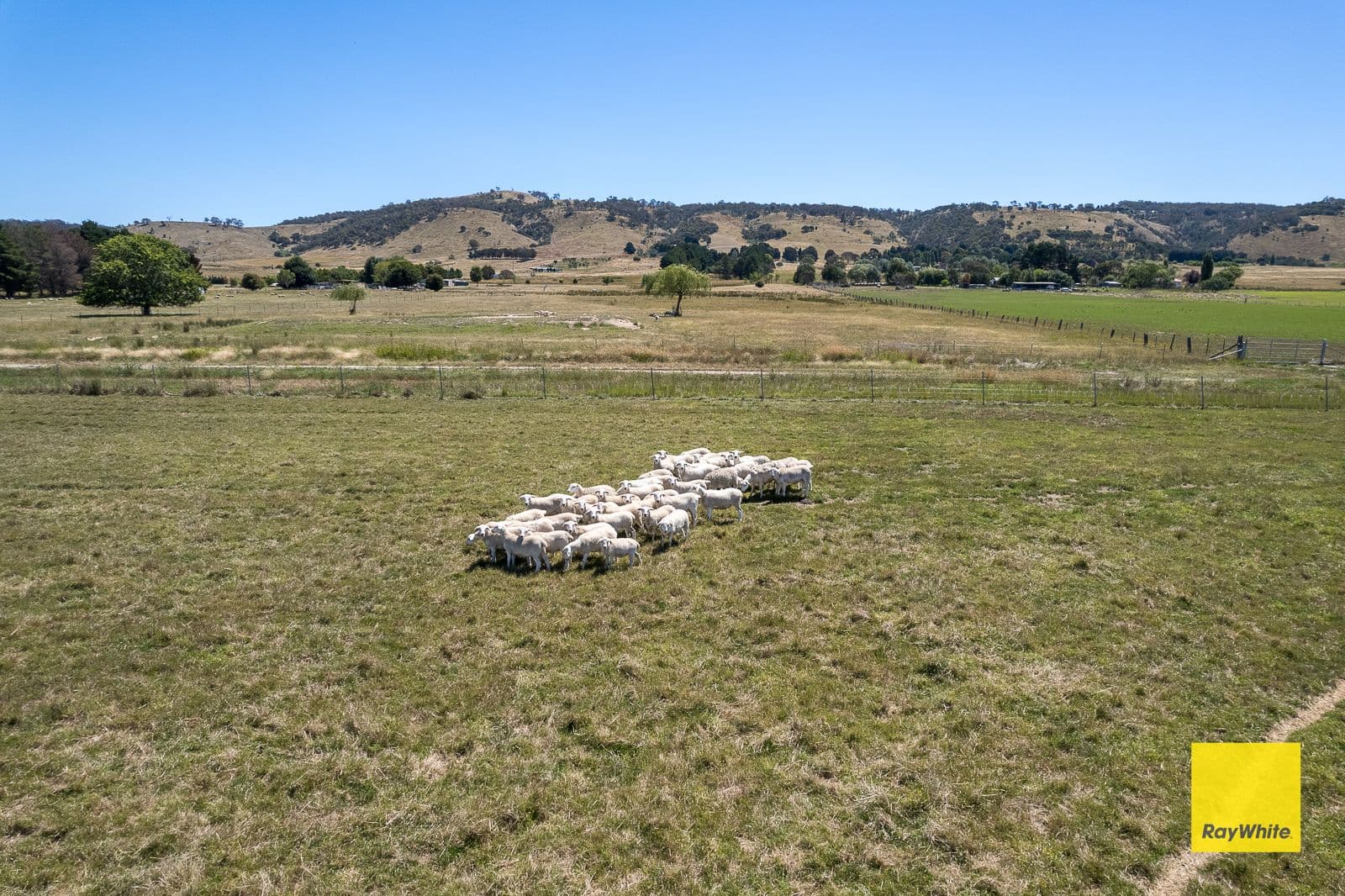 388 Mathews Lane, Bungendore NSW 2621, Bungendore - Thumbnail 6