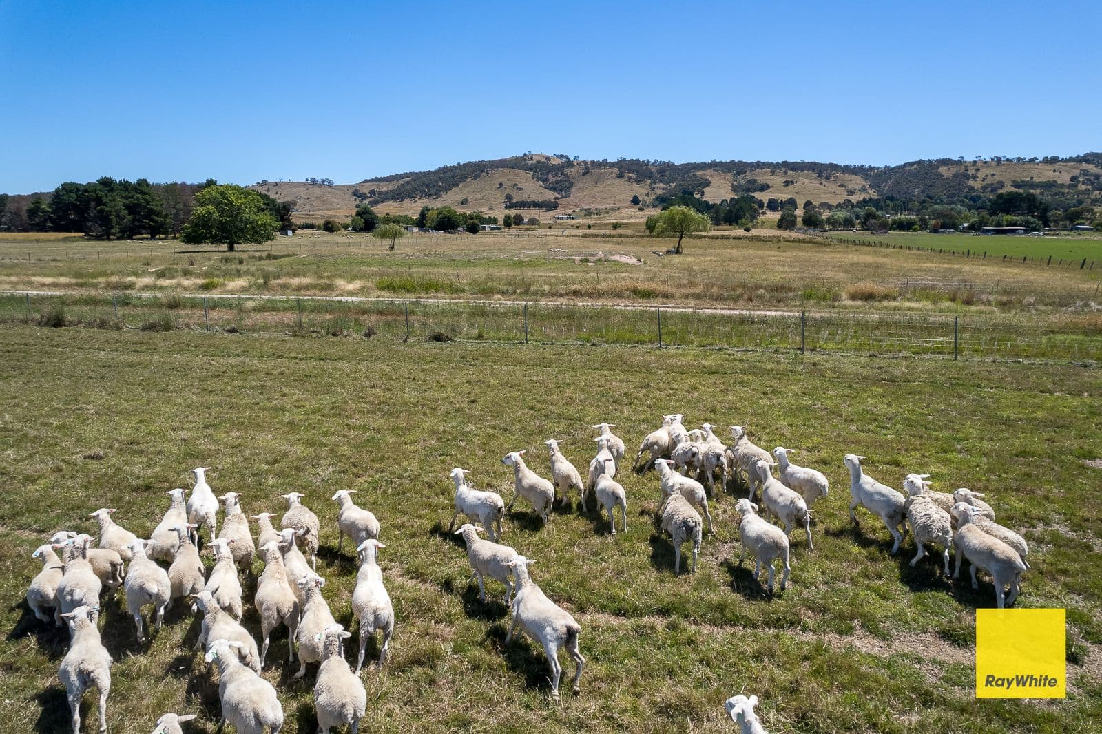 388 Mathews Lane, Bungendore NSW 2621, Bungendore - Thumbnail 7