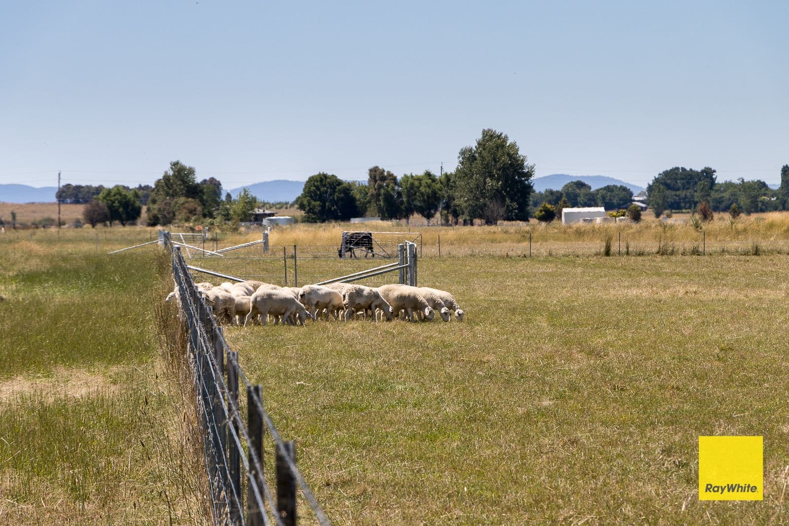 388 Mathews Lane, Bungendore NSW 2621, Bungendore - Thumbnail 8