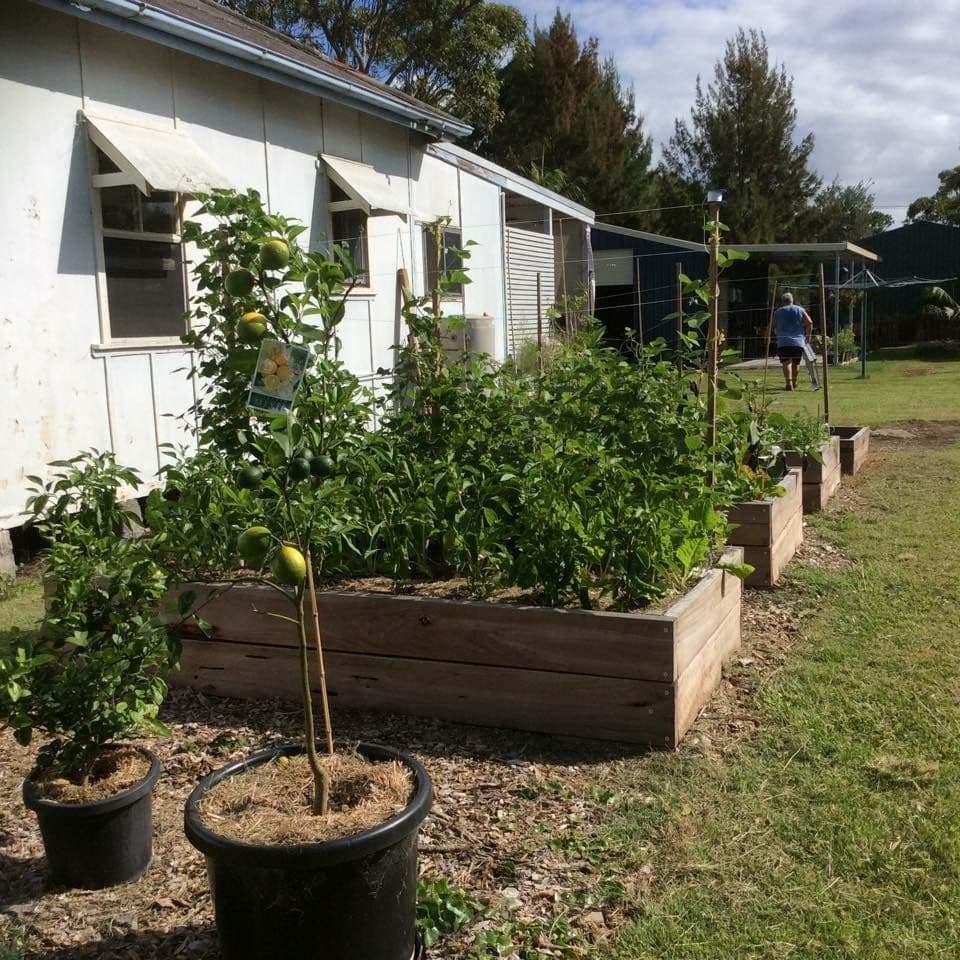 171 Myall Street, Tea Gardens NSW 2324, Tea Gardens - Thumbnail 3