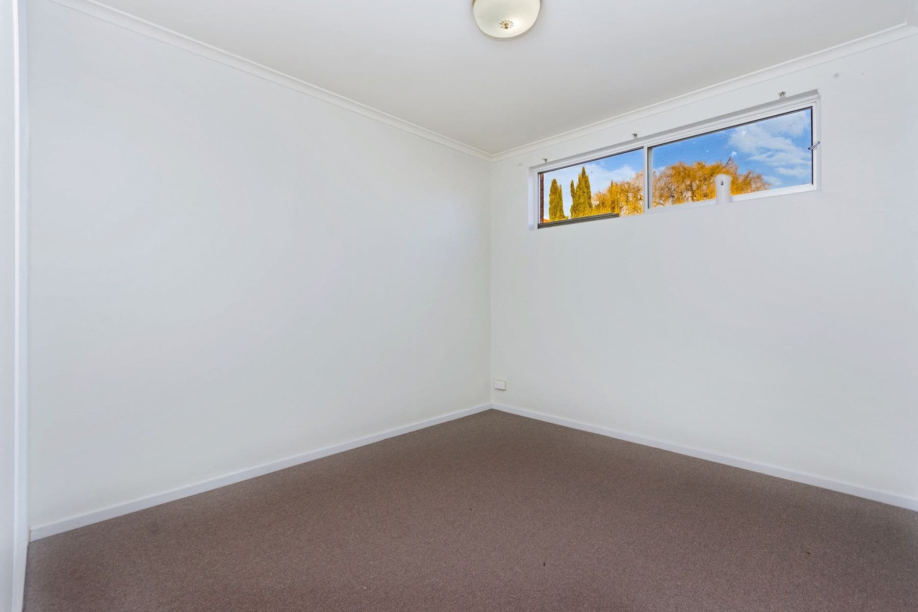 5a Campbell Street, Newstead TAS 7250, Newstead - Thumbnail 5