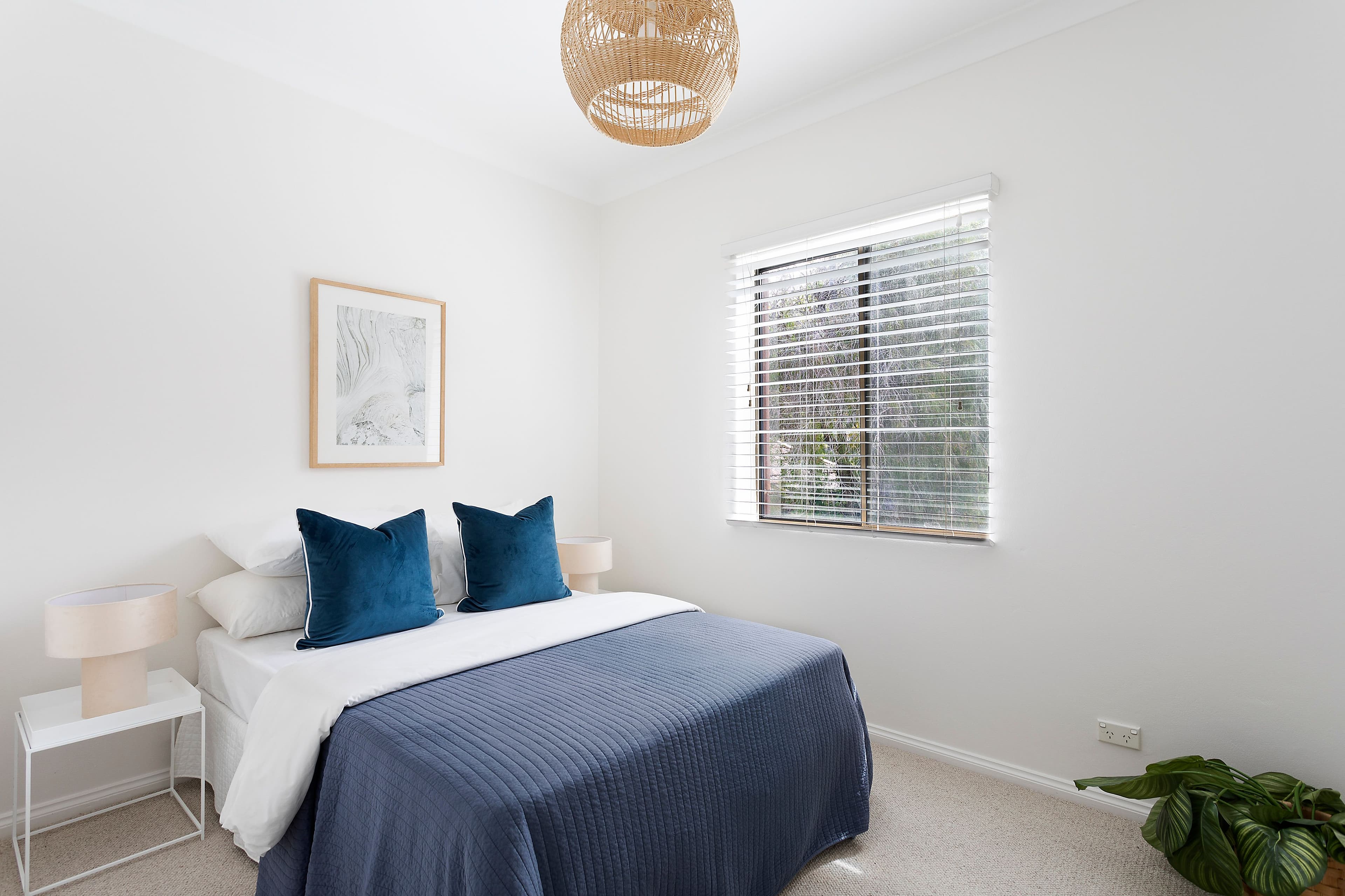 232 Carrington Road, Randwick NSW 2031, Randwick - Thumbnail 5