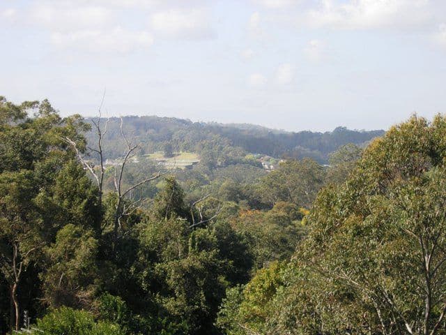 4 Penny Place, OURIMBAH NSW 2258, Ourimbah - Thumbnail 4