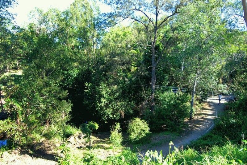 3 Othaki Road, ASHGROVE QLD 4060, Ashgrove - Thumbnail 4