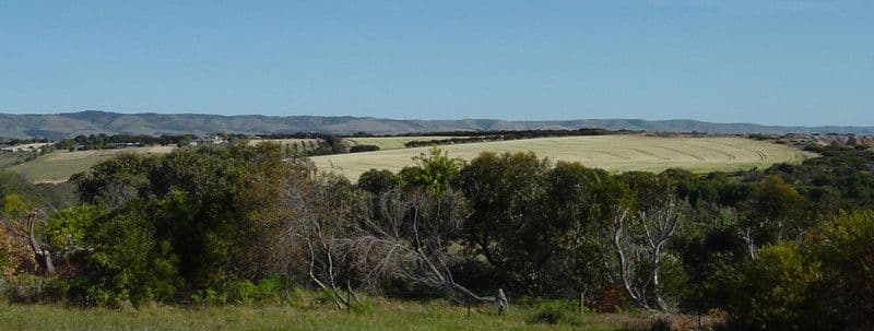 Lot 100, 23 Oleander Road, MASLIN BEACH SA 5170, Maslin Beach - Thumbnail 3