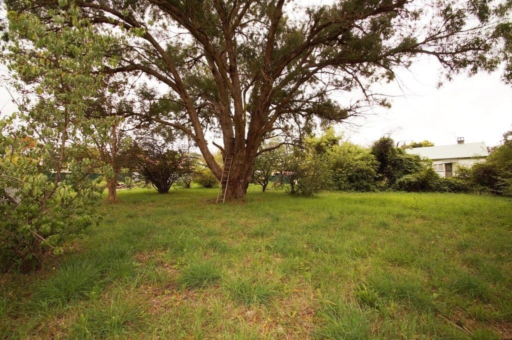 90a Jeffrey Street, ARMIDALE NSW 2350, Armidale - Thumbnail 3