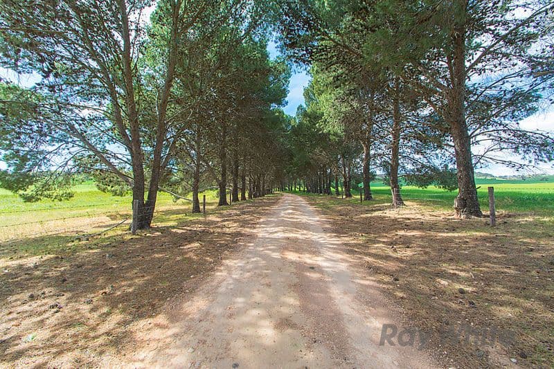 426 Muanu Road, Clare SA 5453, Clare - Thumbnail 2