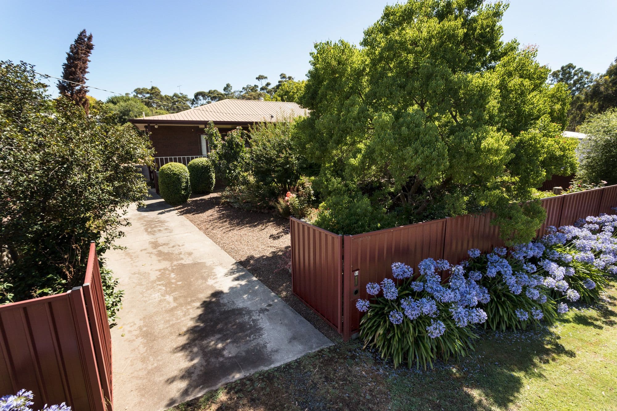 41 Station Street, Rushworth VIC 3612, Rushworth - Thumbnail 3