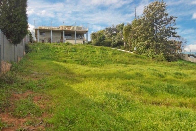 55 Constitution Road, CONSTITUTION HILL NSW 2145, Constitution Hill - Thumbnail 3