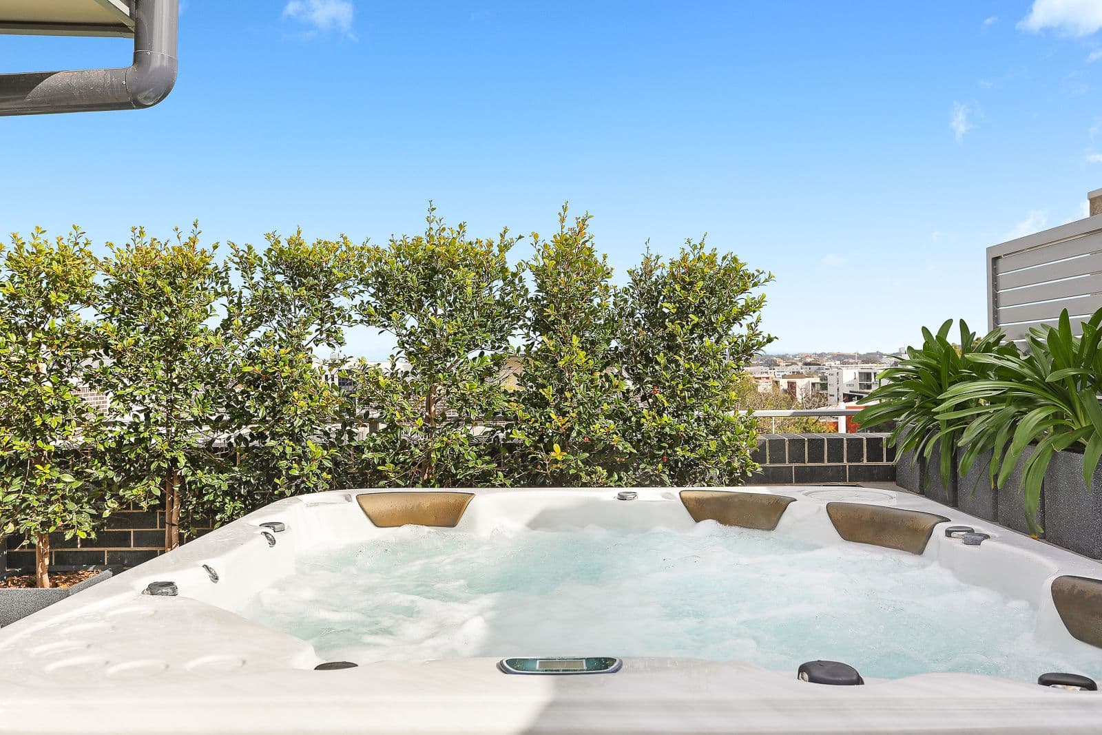23 Rosebery Avenue, Rosebery NSW 2018, Rosebery - Thumbnail 2