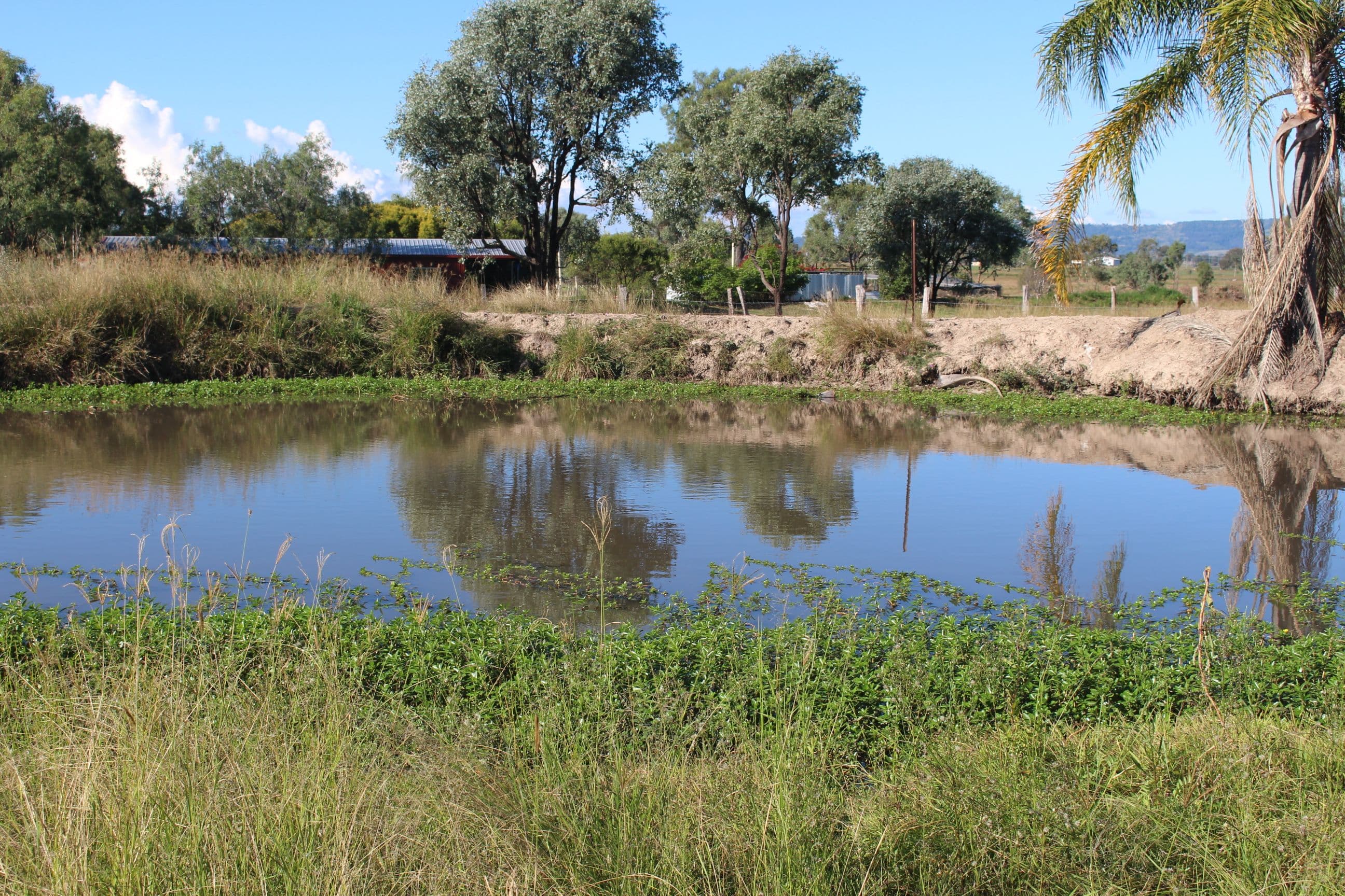 97 Brightview Road, Lockrose QLD 4342, Lockrose - Thumbnail 2