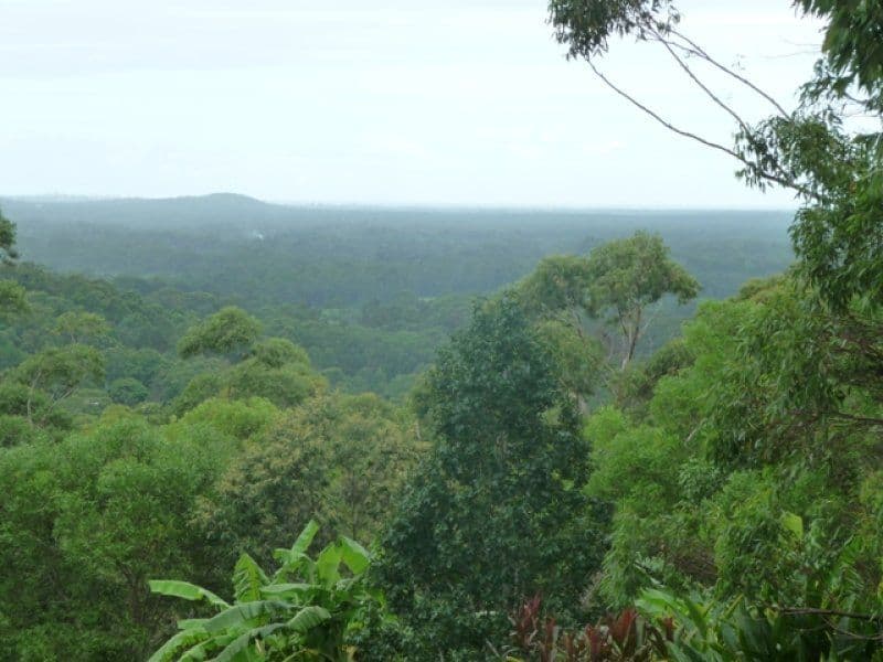 19 Taroona Court, PEACHESTER QLD 4519, Peachester - Image 1