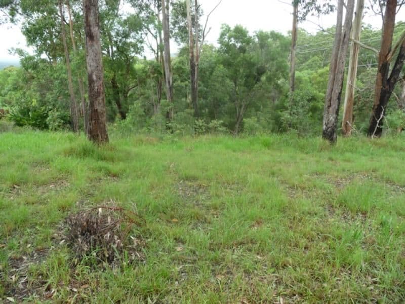 19 Taroona Court, PEACHESTER QLD 4519, Peachester - Thumbnail 2