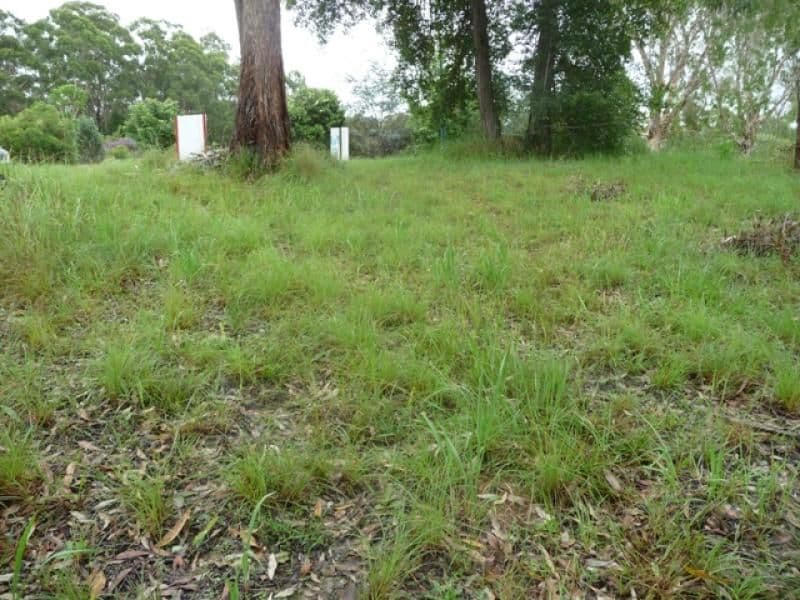 19 Taroona Court, PEACHESTER QLD 4519, Peachester - Thumbnail 3