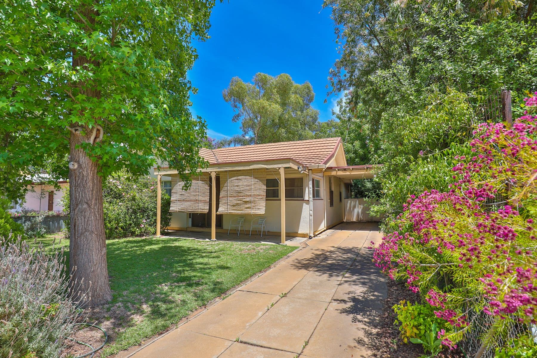 47 Eaglesham Street, Mildura - Thumbnail 4