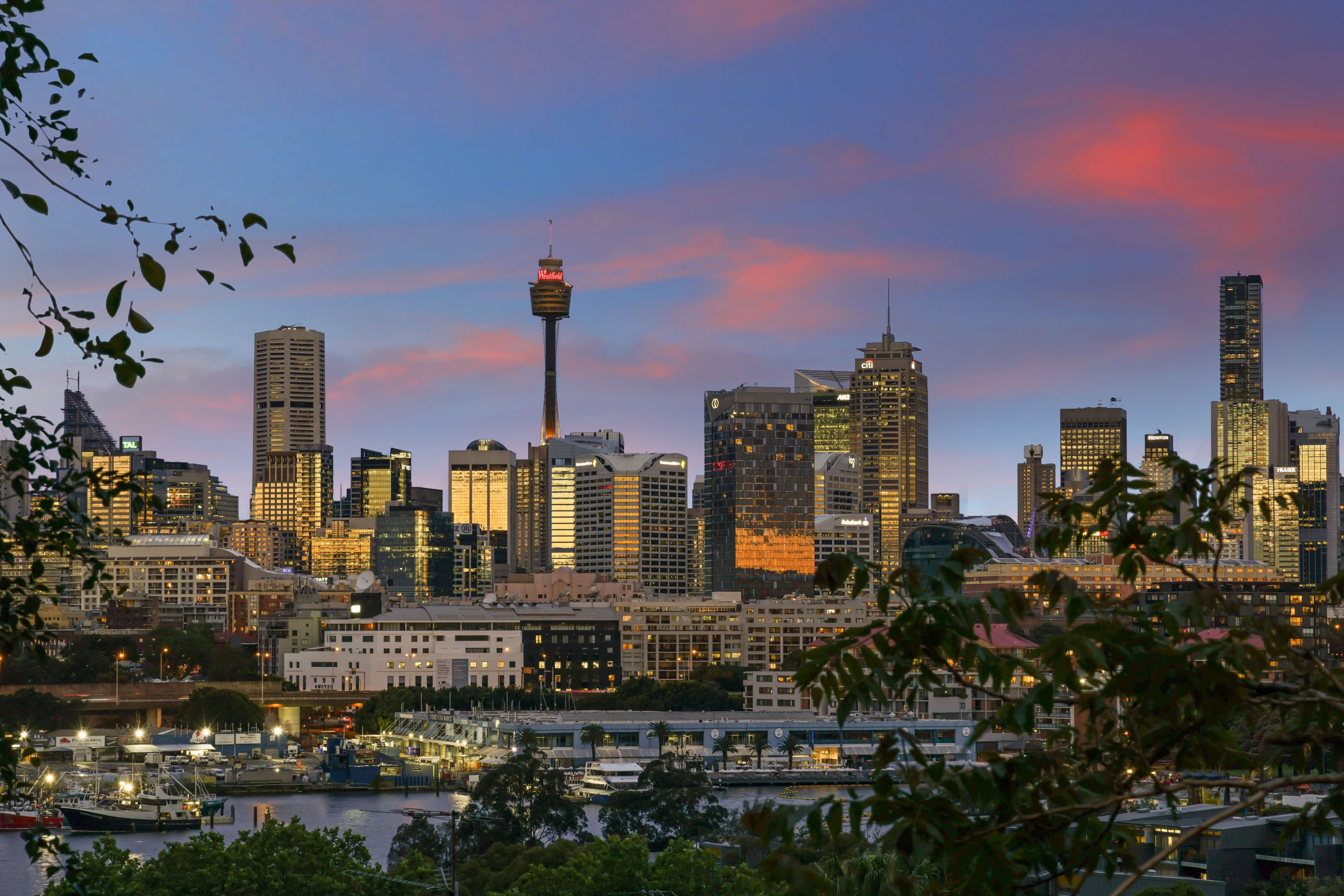 9 Cook Street, Glebe NSW 2037, Glebe - Thumbnail 2