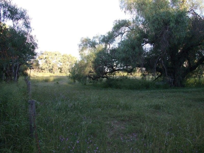 000 Pechey Maclagan Road, GOOMBUNGEE QLD 4354, Goombungee - Thumbnail 4