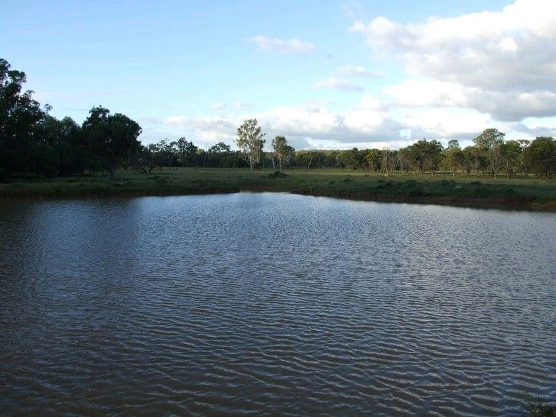 000 Pechey Maclagan Road, GOOMBUNGEE QLD 4354, Goombungee - Thumbnail 5
