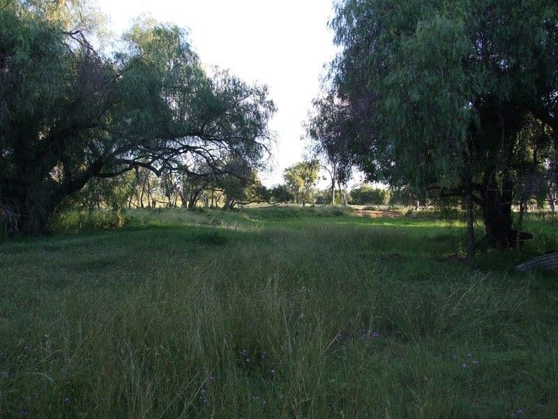 000 Pechey Maclagan Road, GOOMBUNGEE QLD 4354, Goombungee - Thumbnail 6