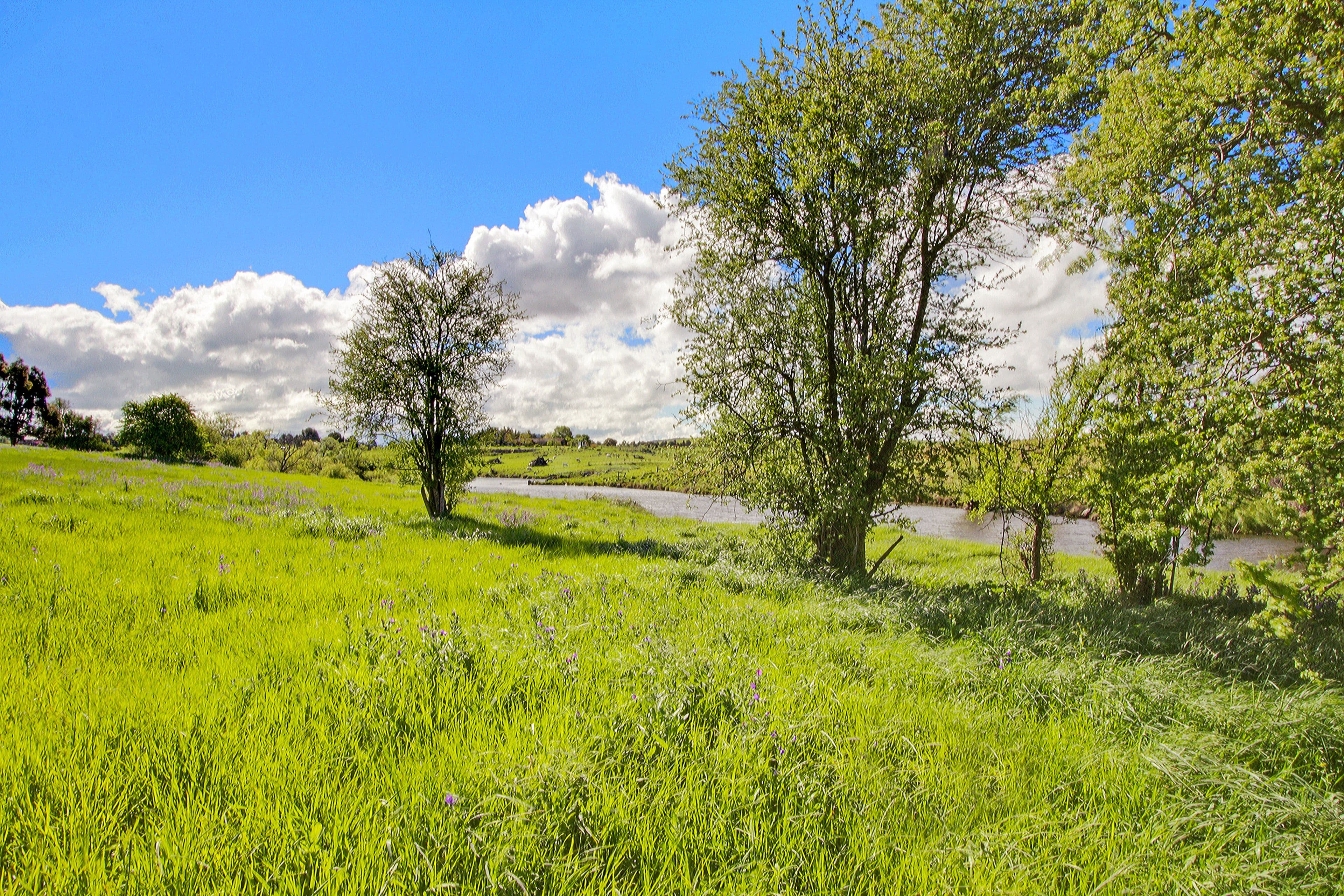 Lot 413 Ibis Road, GOULBURN NSW 2580, Goulburn - Image 1