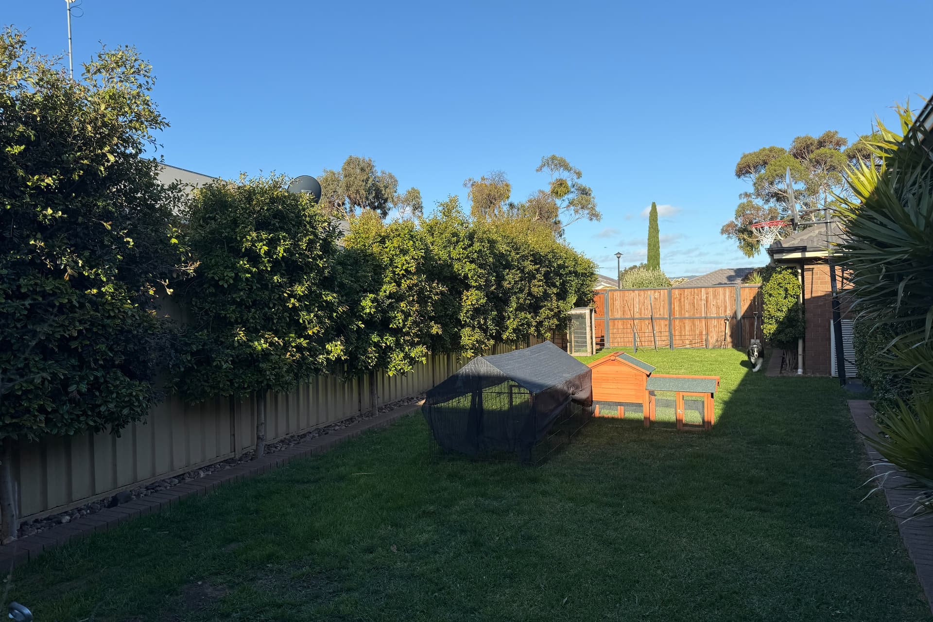 8 Whistlers Avenue, Aldinga Beach - Thumbnail 4