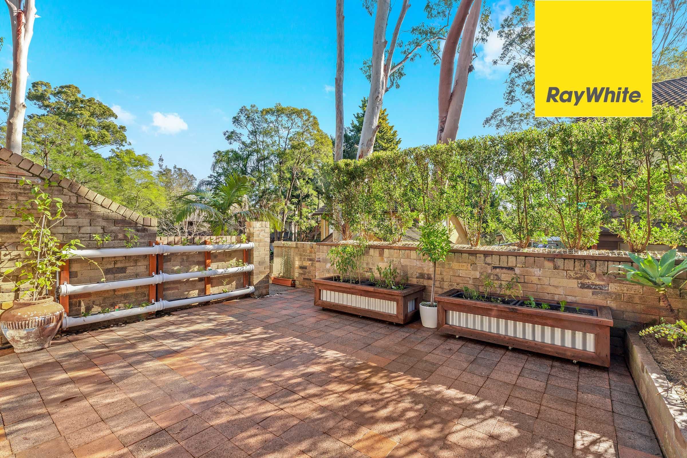 34 Busaco Road, Marsfield NSW 2122, Marsfield - Thumbnail 5