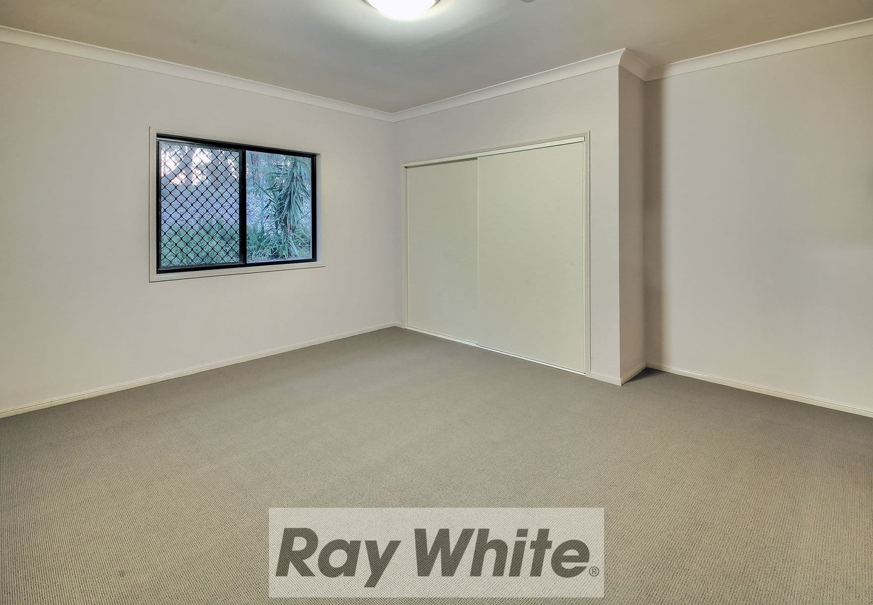 17 Short Street, Boronia Heights QLD 4124, Boronia Heights - Thumbnail 7