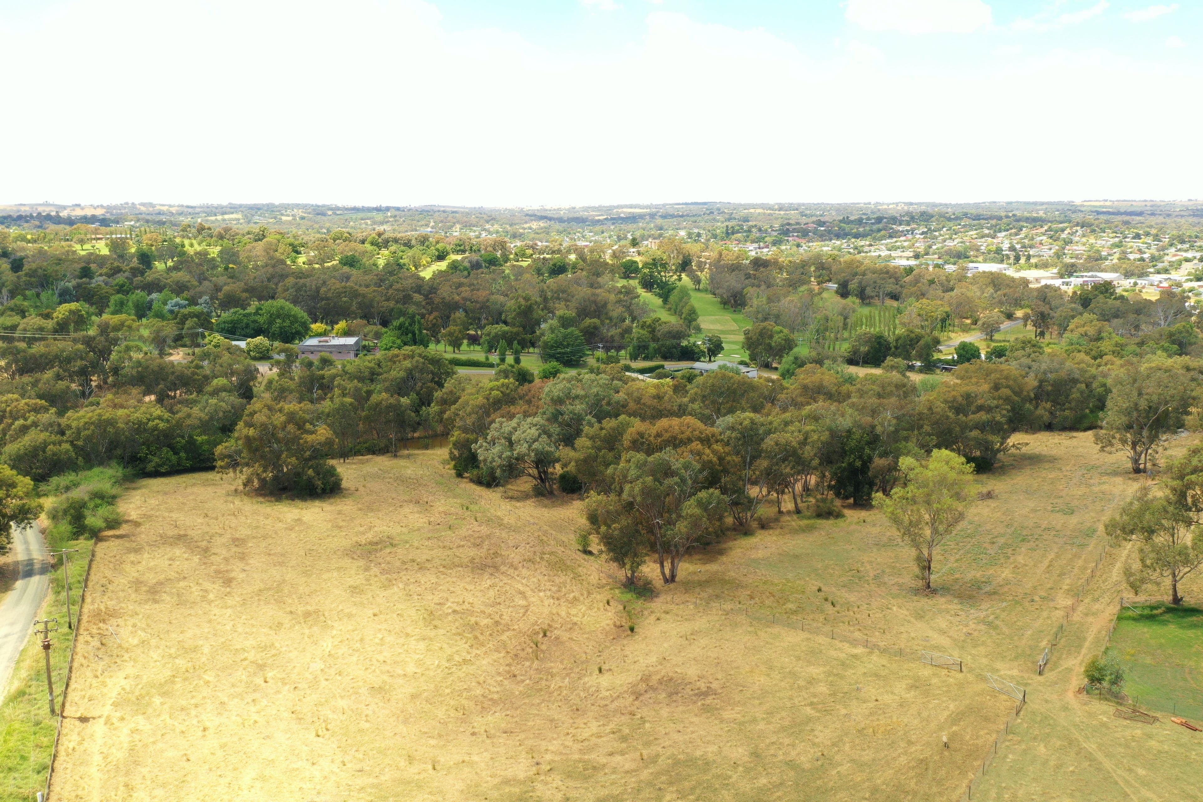 29 McMahons Road, Young NSW 2594, Young - Image 1
