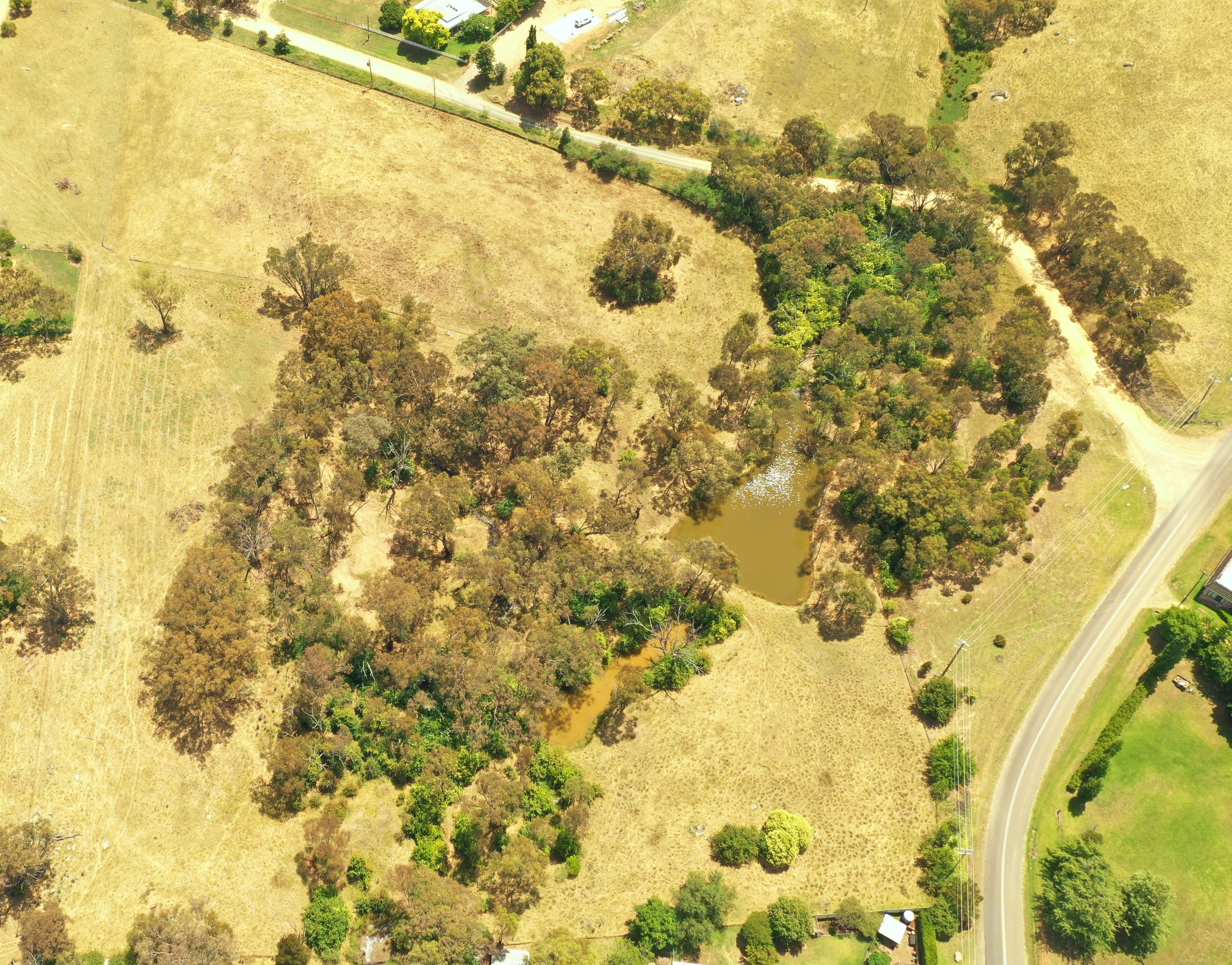 29 McMahons Road, Young NSW 2594, Young - Thumbnail 2