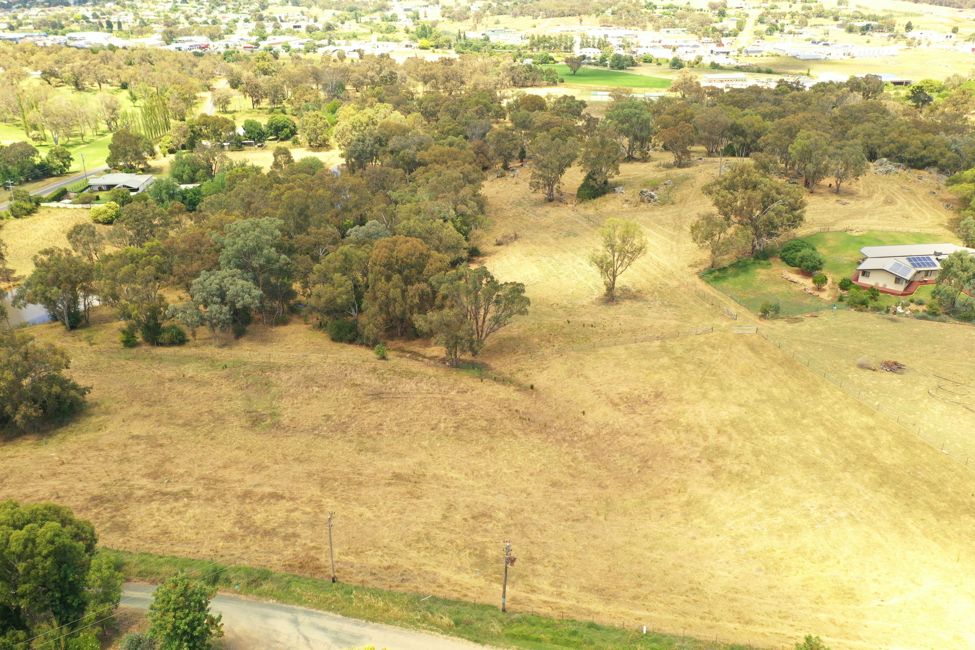 29 McMahons Road, Young NSW 2594, Young - Thumbnail 4