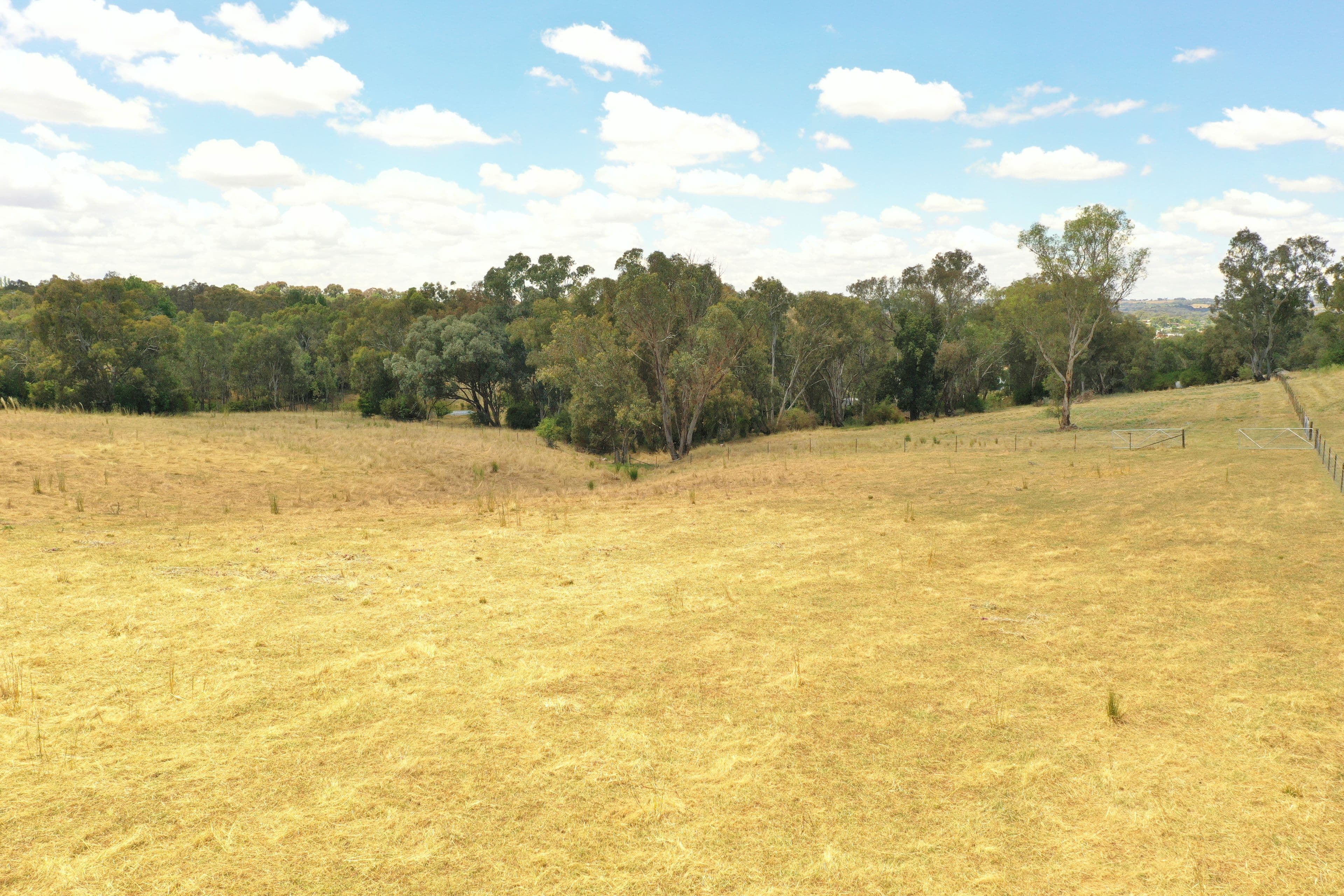 29 McMahons Road, Young NSW 2594, Young - Thumbnail 5