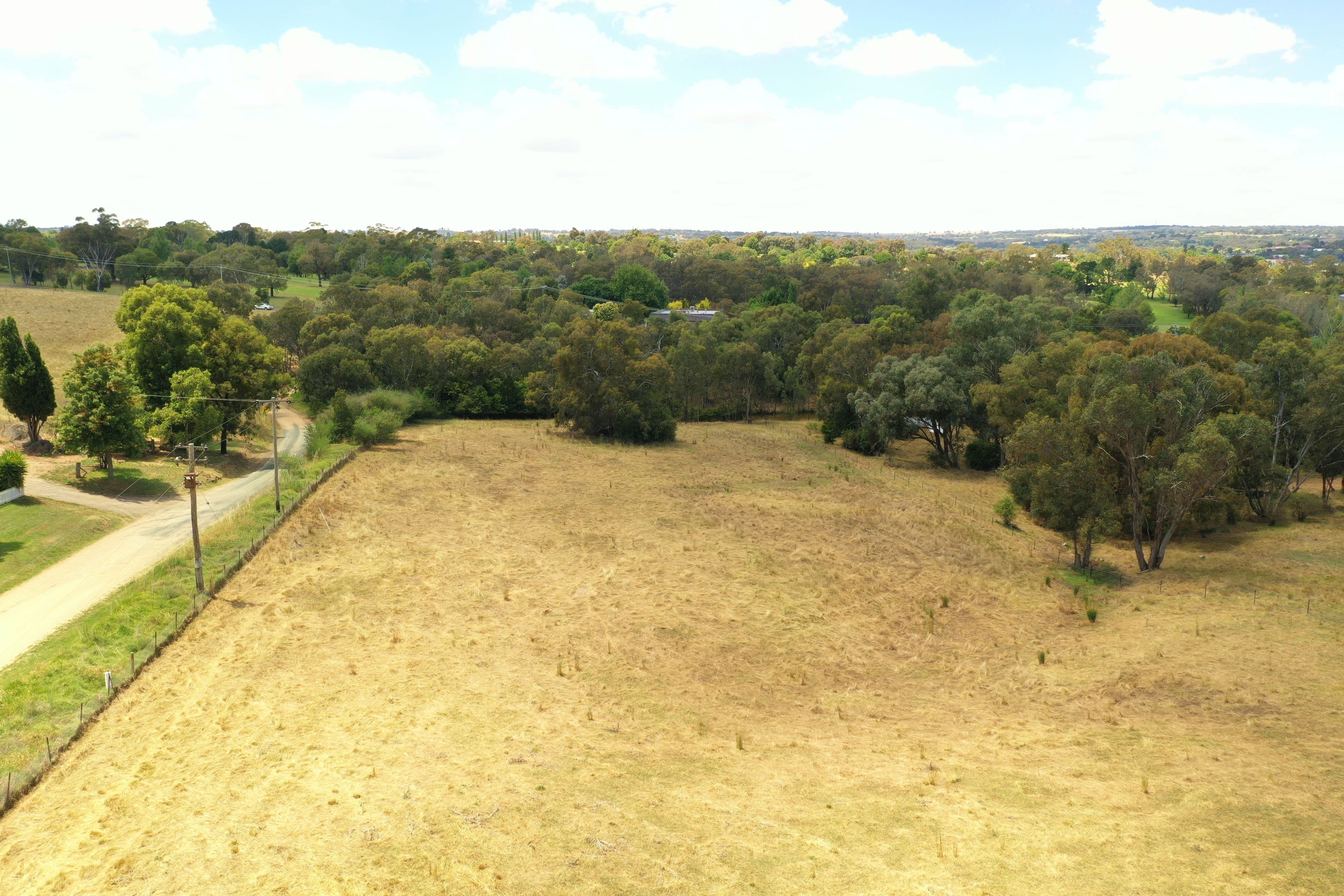 29 McMahons Road, Young NSW 2594, Young - Thumbnail 6