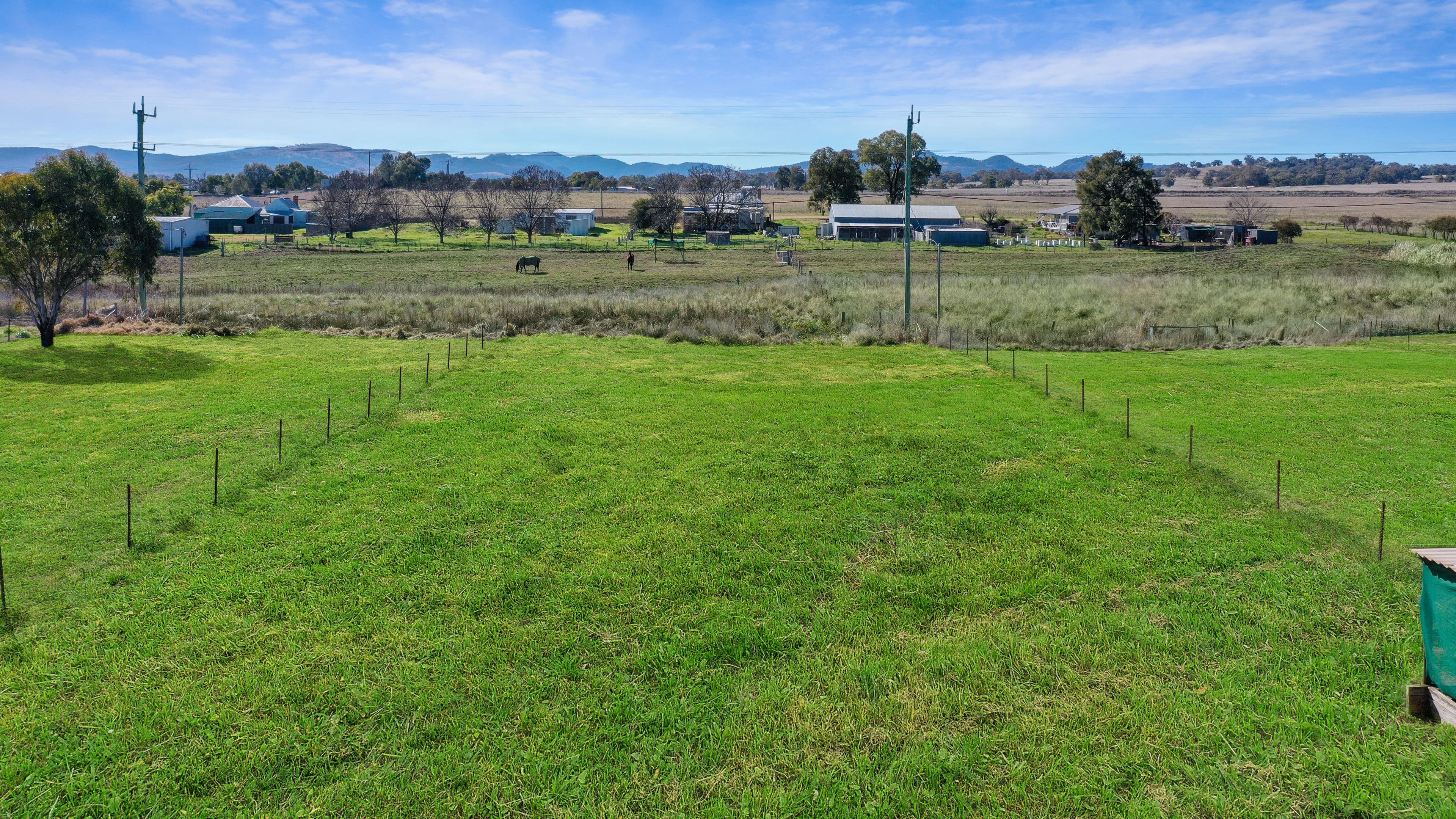 7 Robey Avenue, Quirindi NSW 2343, Quirindi - Thumbnail 3