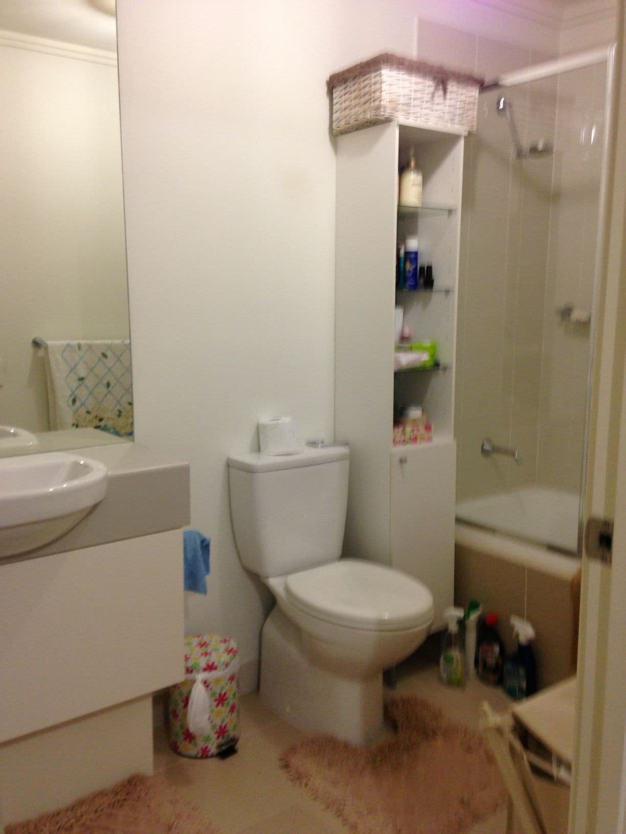 19 Newleaf Parade, BONNYRIGG NSW 2177, Bonnyrigg - Thumbnail 3