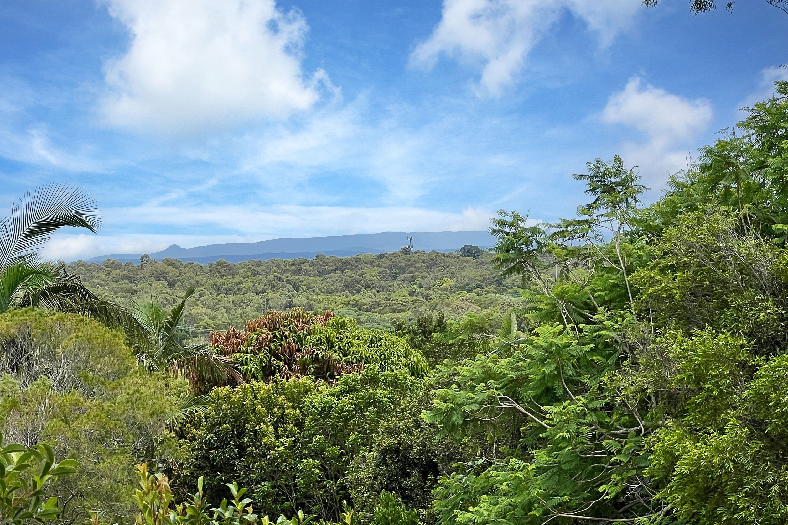 9 Werita Court, Sunrise Beach QLD 4567, Sunrise Beach - Thumbnail 2