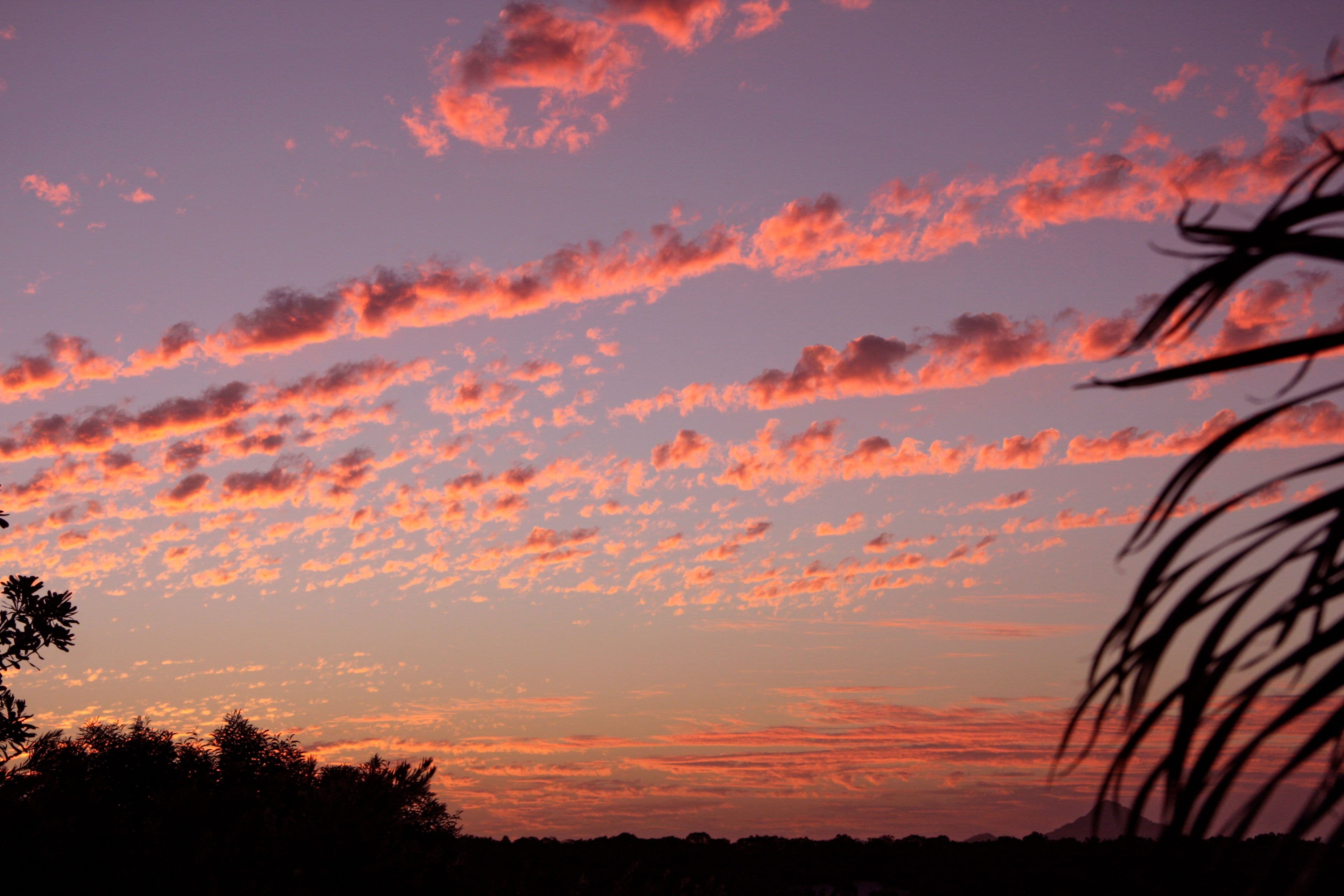 9 Werita Court, Sunrise Beach QLD 4567, Sunrise Beach - Thumbnail 6