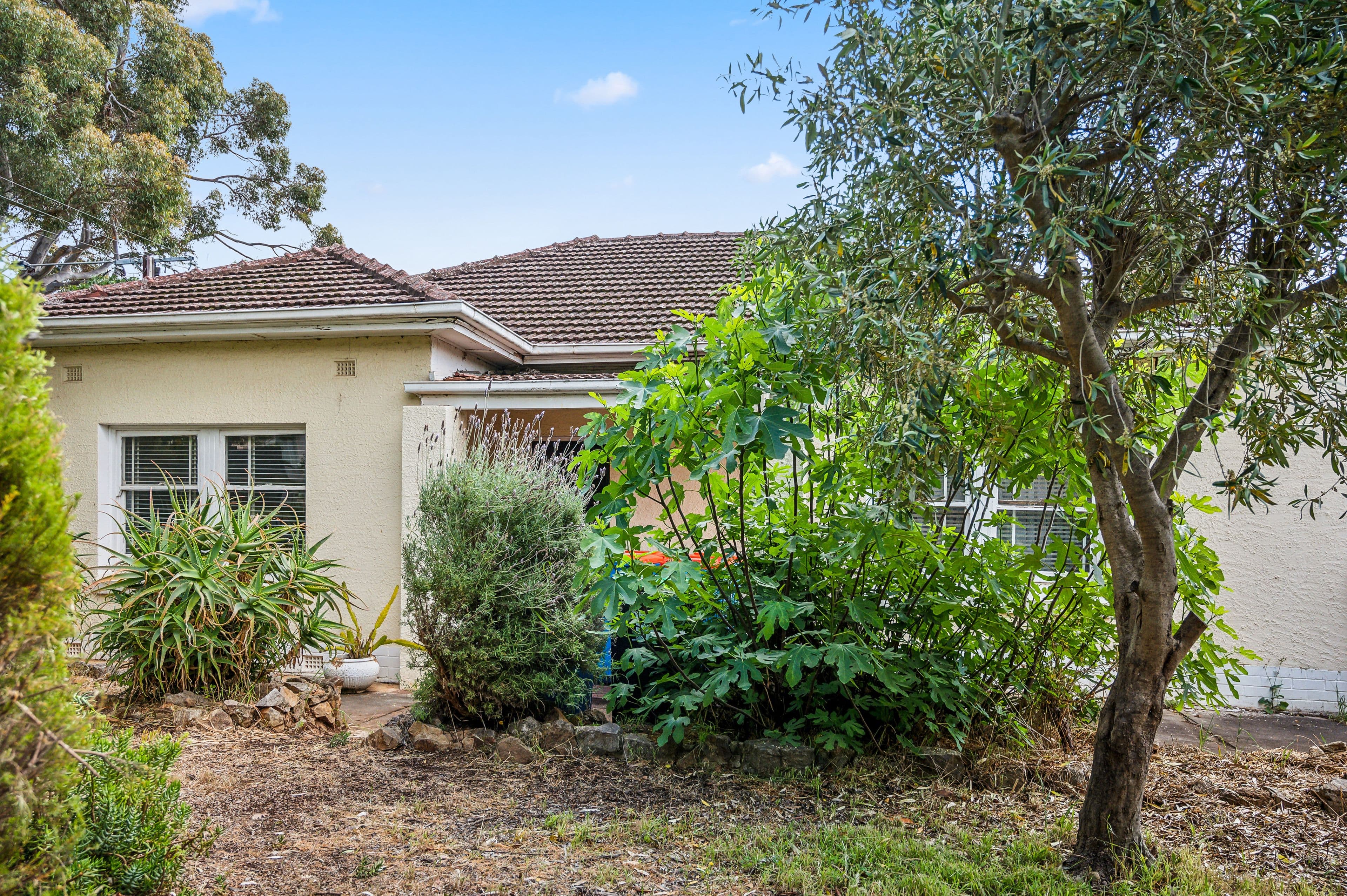 23 Primrose Terrace, Rosslyn Park SA 5072, Rosslyn Park - Thumbnail 3