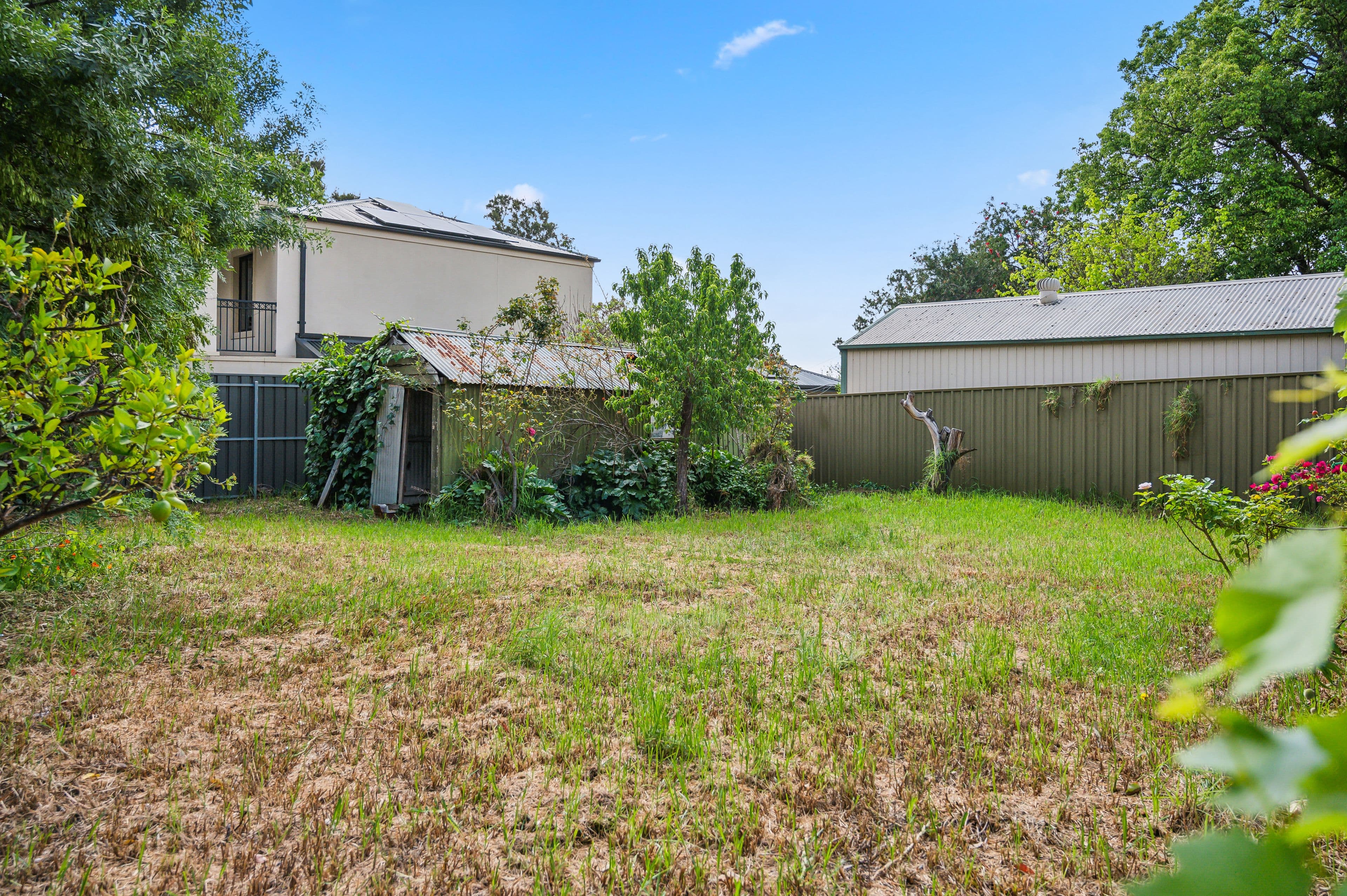 23 Primrose Terrace, Rosslyn Park SA 5072, Rosslyn Park - Thumbnail 4