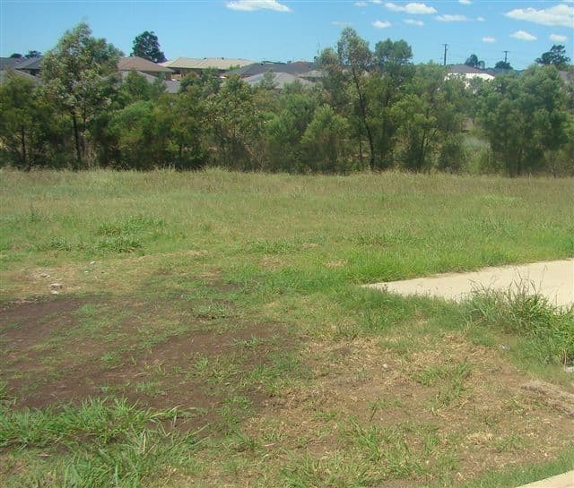 Lot 703 Bingara Street, RUTHERFORD NSW 2320, Rutherford - Thumbnail 2