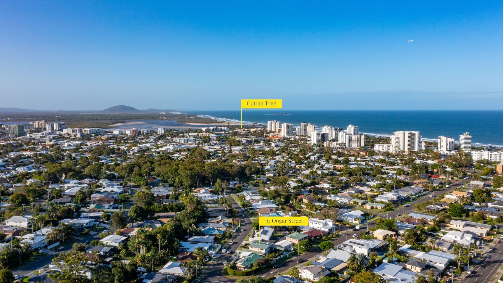 37 Oogar Street, Maroochydore QLD 4558, Maroochydore - Thumbnail 4