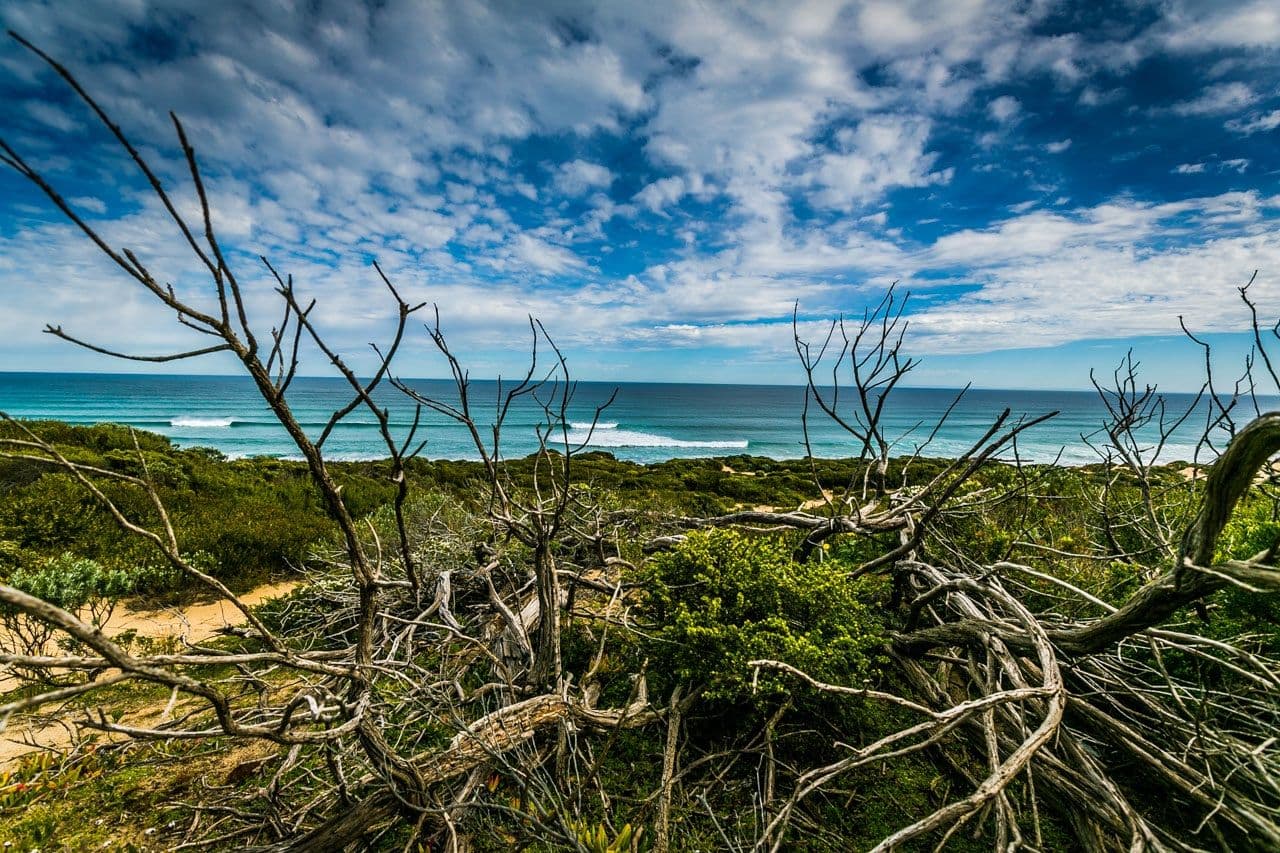 74 - 78 Paradise Drive, St Andrews Beach VIC 3941, St Andrews Beach - Thumbnail 5
