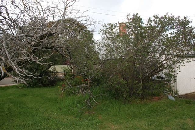 11 Wright Street, CLARE SA 5453, Clare - Thumbnail 4