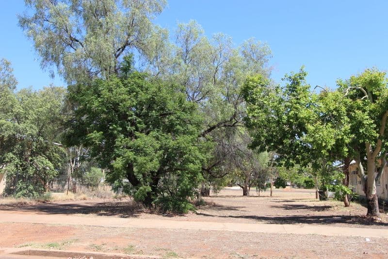 91 Parry Street, Charleville QLD 4470, Charleville - Image 1