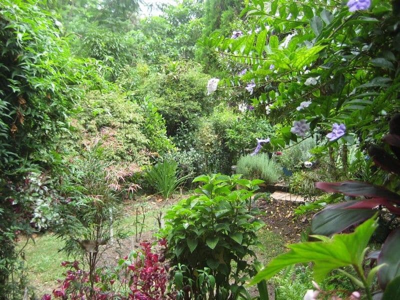 57  Laidlaw Street, DAYBORO QLD 4521, Dayboro - Thumbnail 3